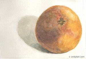 A grapefruit