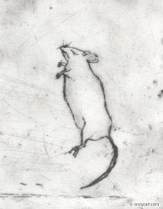 A mouse lying down